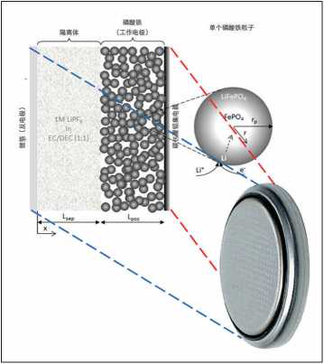 在宏觀(左)和微觀(右)層面對半電池建模